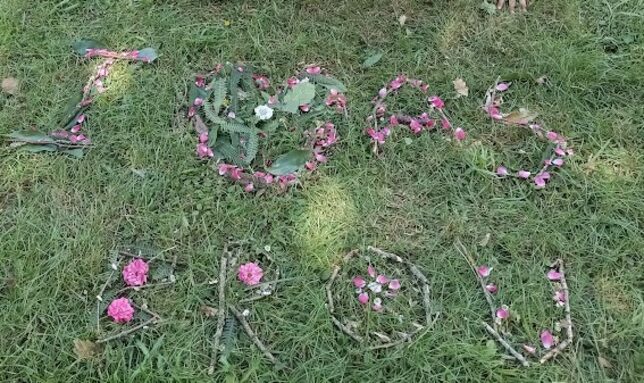 land art AS Brou.jpg